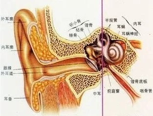 “五一”活动火热进行中