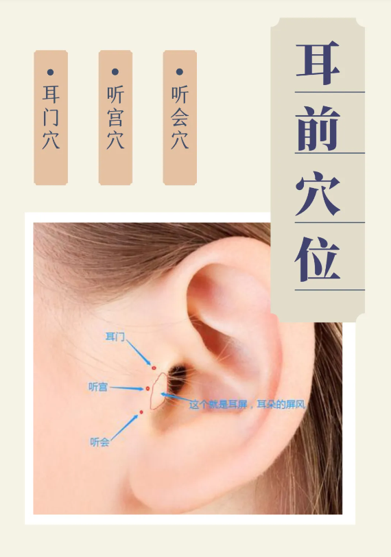 一“鸣”惊人的耳朵